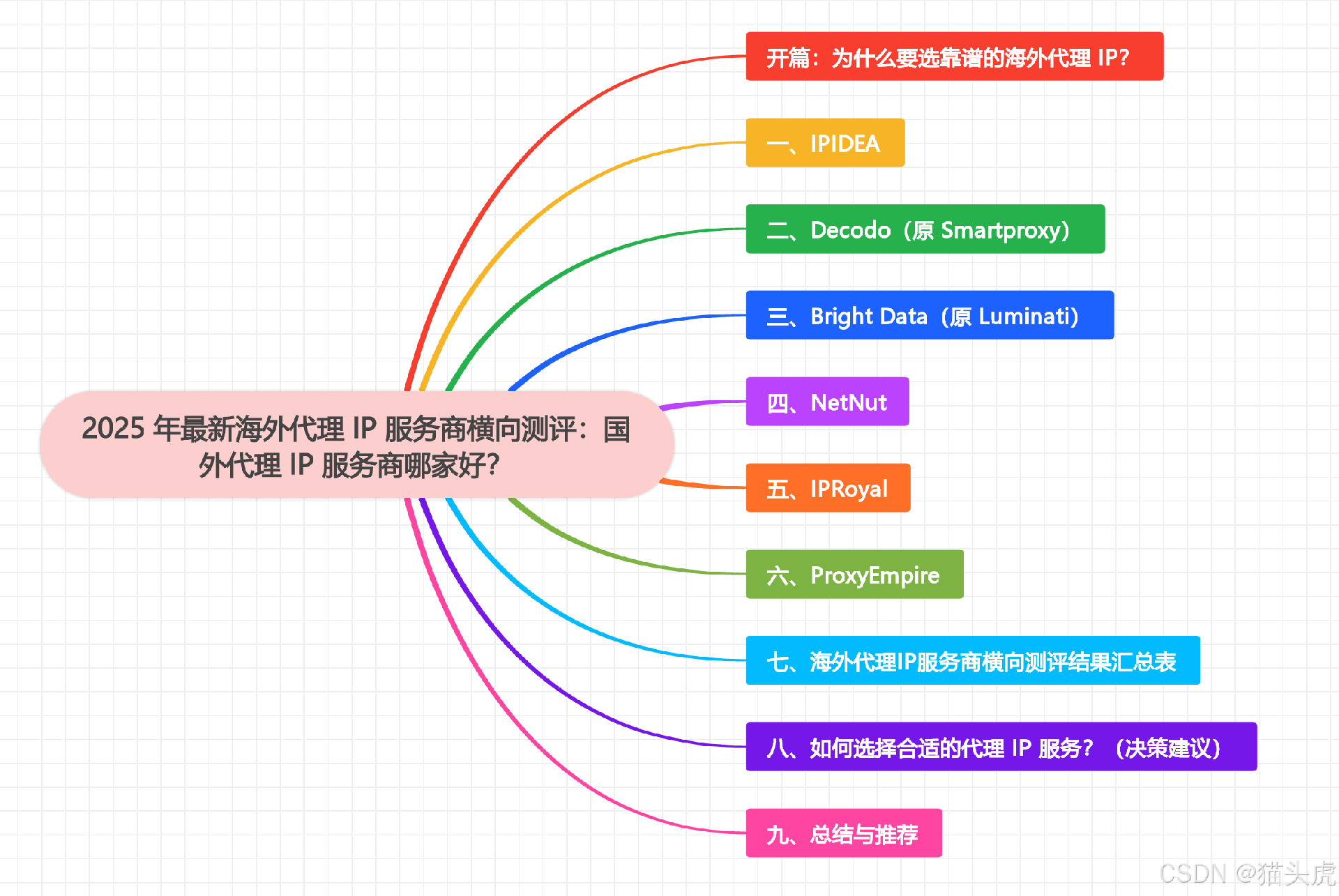 2025年最新海外代理IP服务商横向测评：国外代理IP服务商哪家好？