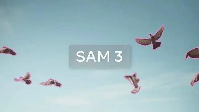 以后 P 图、做 3D 只要一句话？Meta 发布 SAM 3，普通人也能玩的黑科技